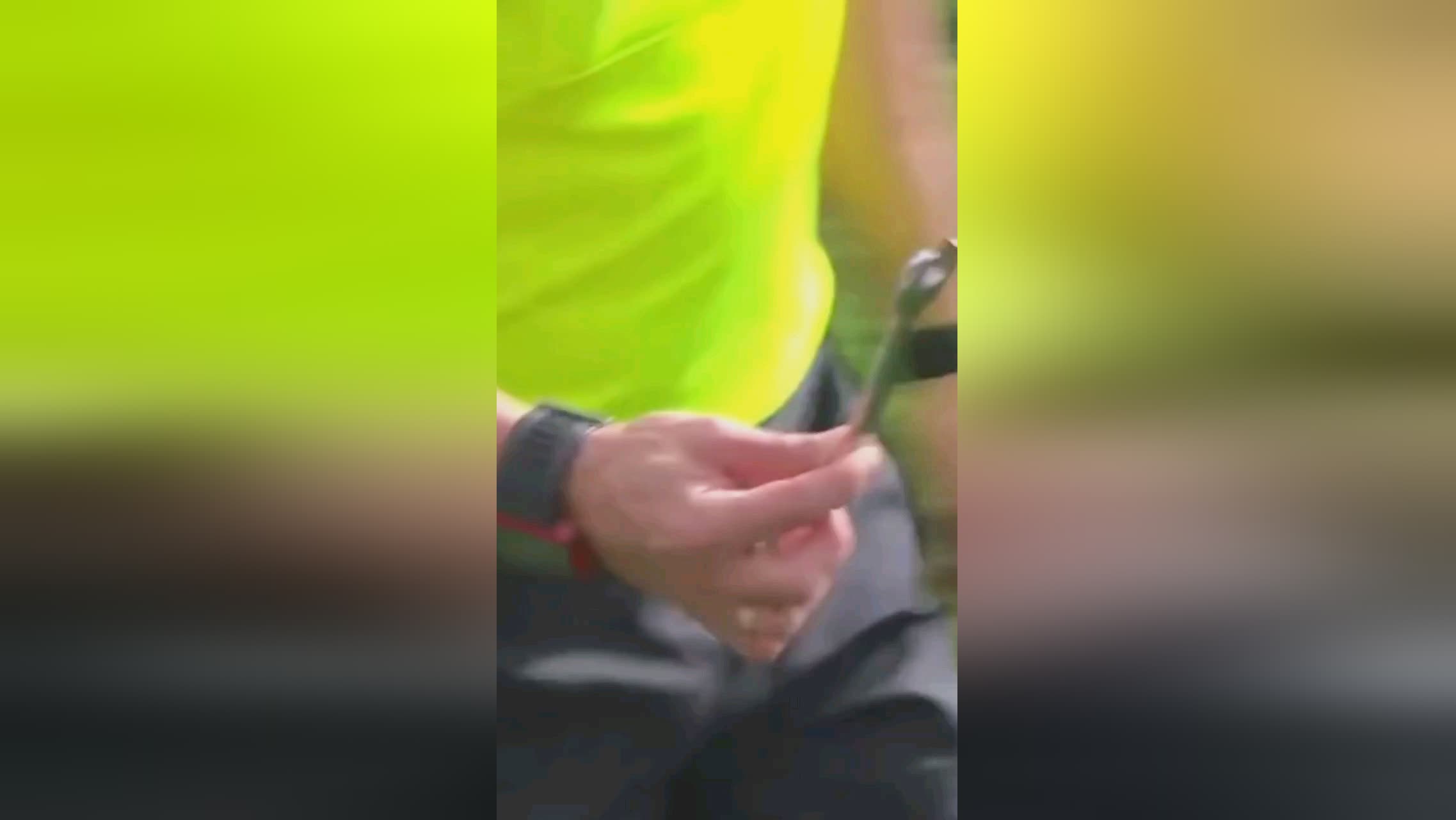 进外